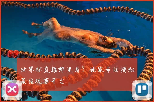 世界杯直播哪里看?独家专访揭秘最佳观赛平台