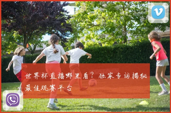 世界杯直播哪里看?独家专访揭秘最佳观赛平台