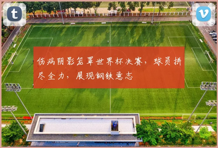 伤病阴影笼罩世界杯决赛,球员拼尽全力,展现钢铁意志